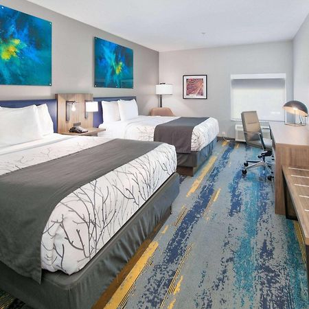 La Quinta Inn & Suites By Wyndham Dallas/Fairpark Kültér fotó